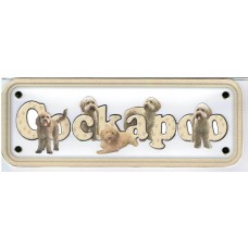 Cockapoo - golden